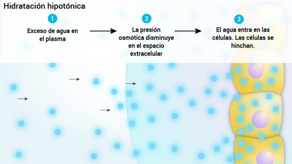 5_hypotoniskhydrering_spansk